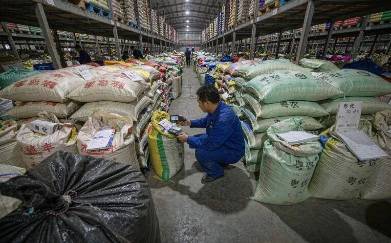 中国农业技术员在种子仓库前用手持终端扫描编织袋上的二维码标签核对批次