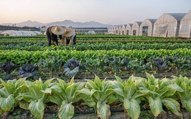 农业种植基地管理系统应用场景