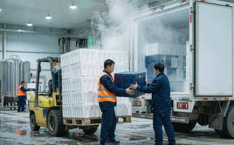 中国屠宰与肉类加工厂过磅区,一名穿工作服的中文工作人员对挂栏白条称重并登记,地磅与台账清晰,一线作业实拍