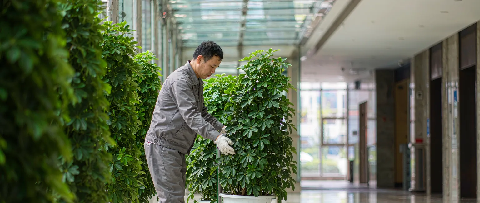 商业空间绿植租摆与养护配送管理系统一线作业实景
