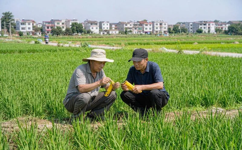农资连锁经销管理系统一线作业实景