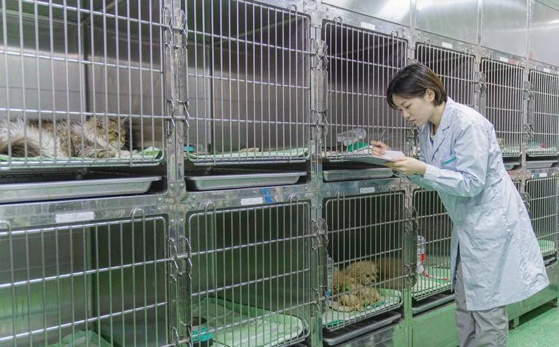 中国动物防疫检疫工作场景中,一名中文工作人员逐份核对检疫单证并填写登记台账,环境规范整洁,一线检疫实景,写实摄影